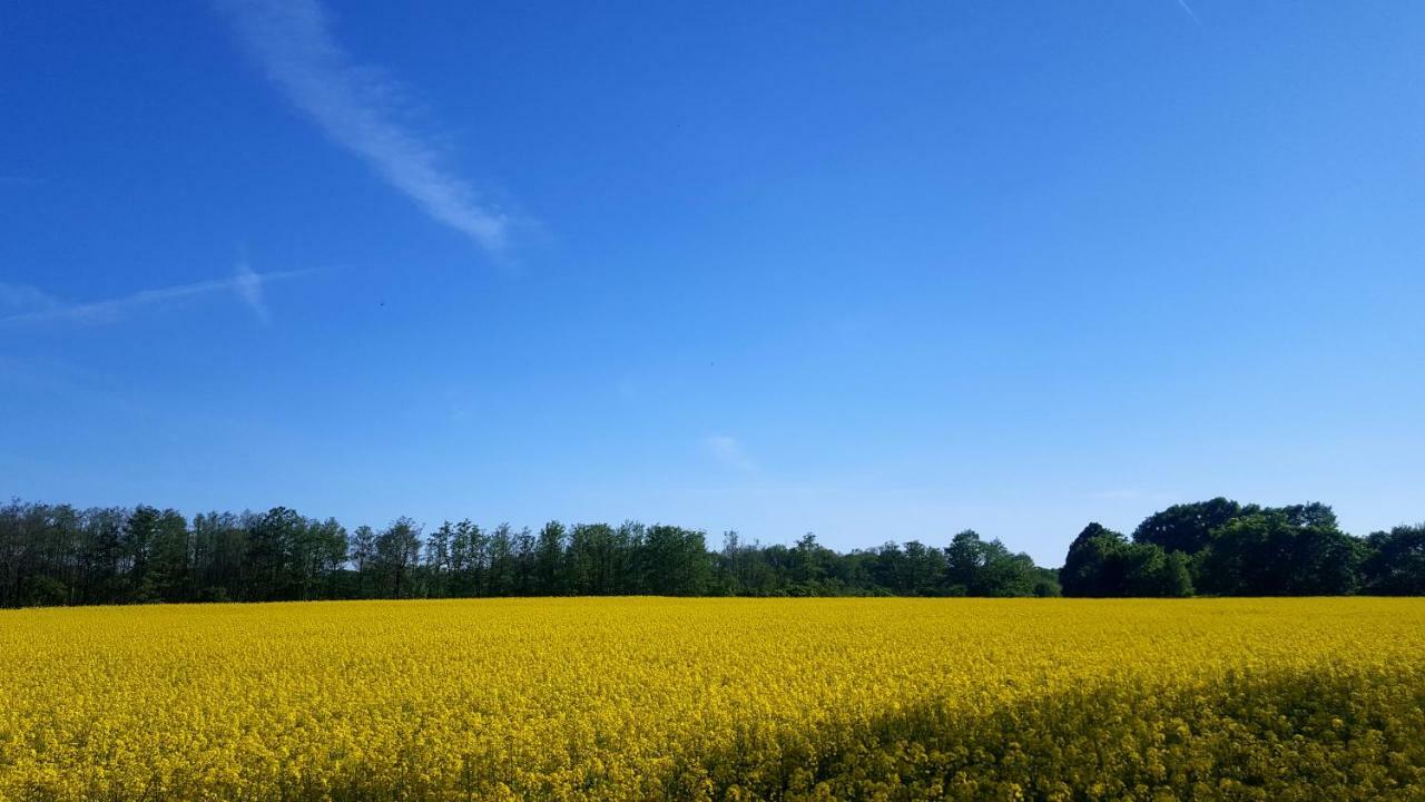 Ferienwohnung Urte In Putgarten , Kap Arkona Ruegen Zewnętrze zdjęcie